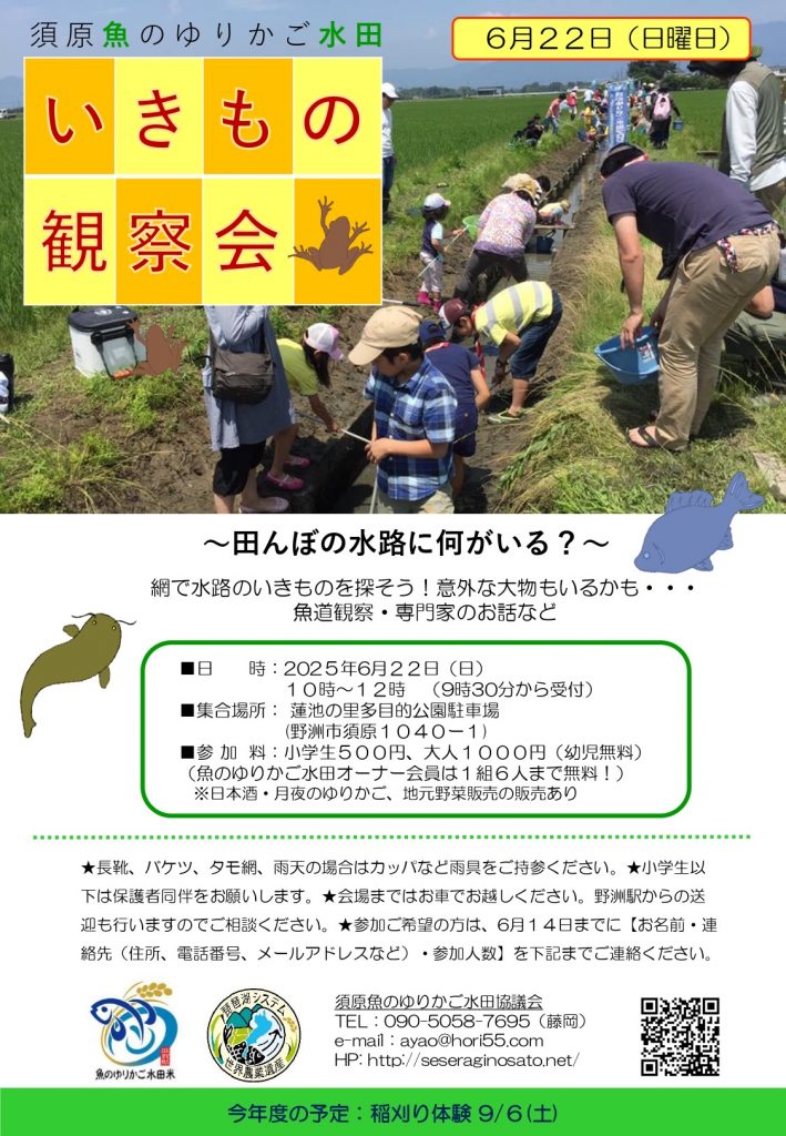 2025生きもの観察会チラシ